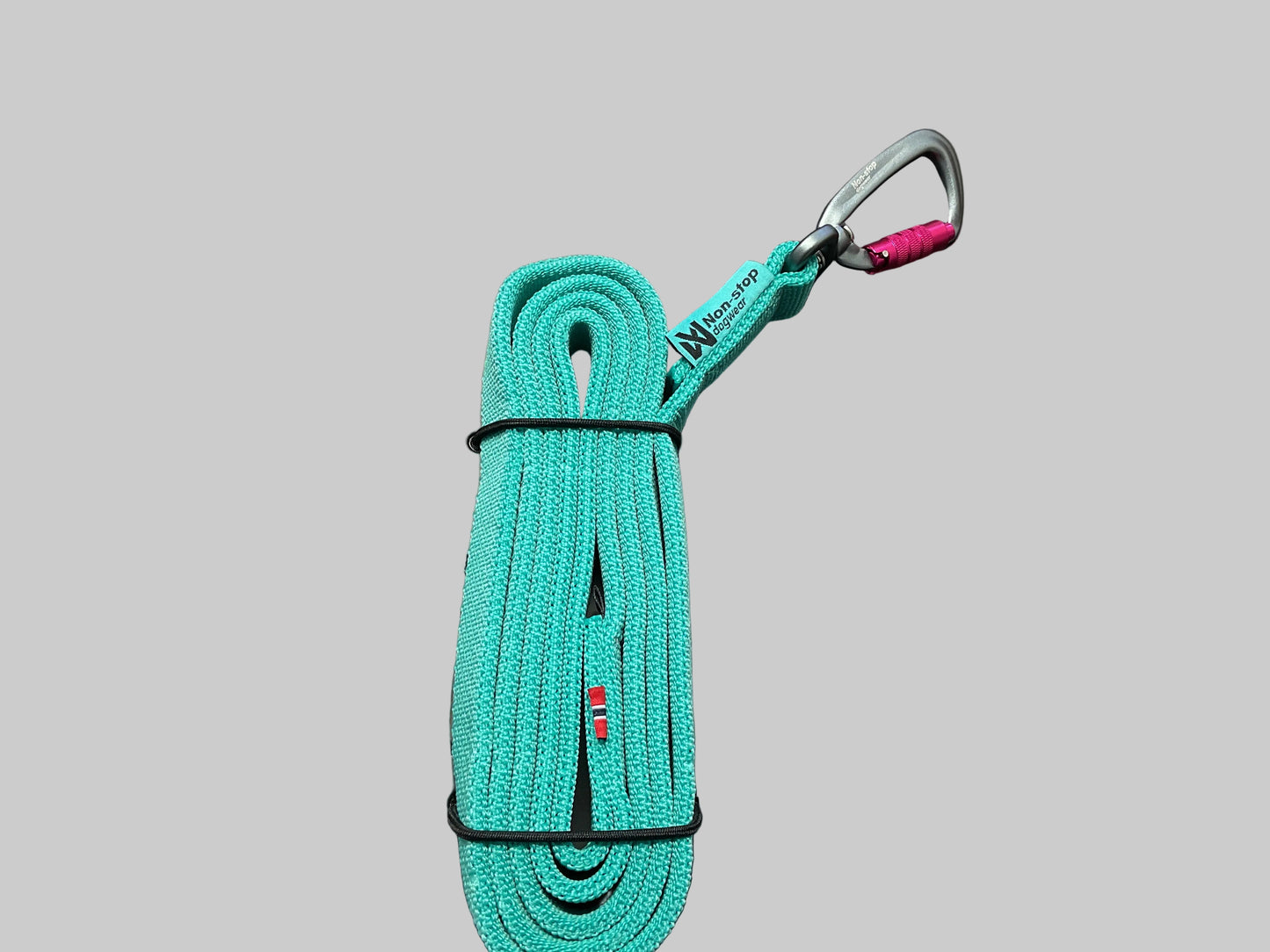 Non-stop Bungee Leash 2.8M Aqua/Green