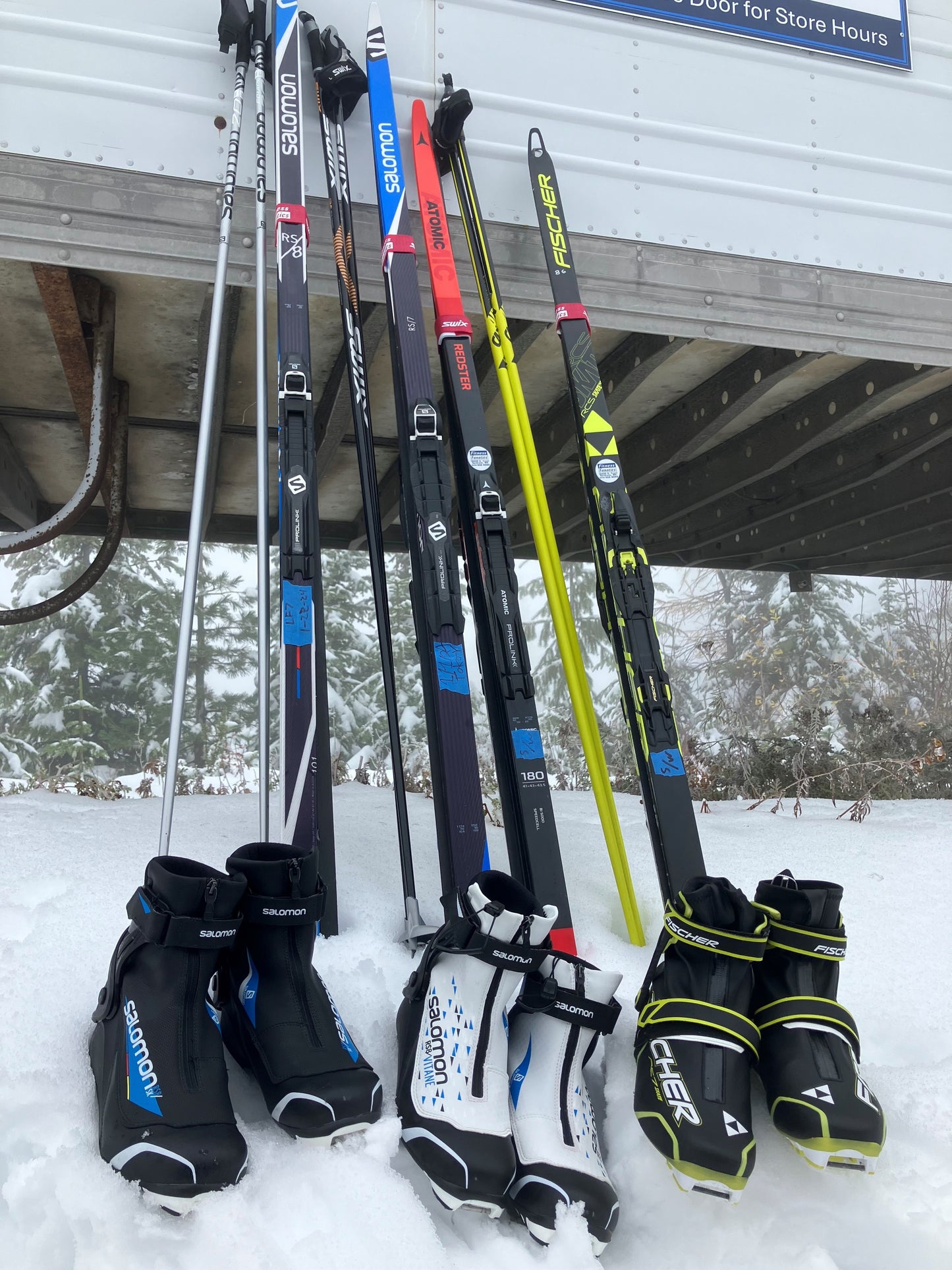 Ski Poles