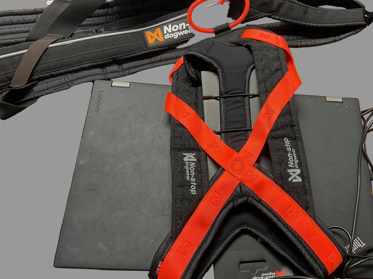 Non-Stop Rush Harness Size 6